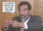 Who else hates the Badgering??-saddam_insane.jpg