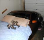 How many of you have stored the Z already for the winter-sleeping.jpg