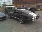 Are you ready for the droves on n00bs incoming?-mustang-skyline1.jpg