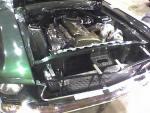 Are you ready for the droves on n00bs incoming?-mustangskyline2.jpg