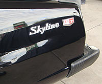 My 5 seconds of fame...-skyline-logo.jpg