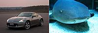 Can't get this thought out of my head....-370z-nurse-shark.jpg