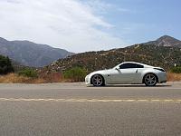 Pikes Peak White-suzy-pic-2.jpg
