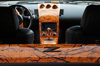 Solar Orange-interior.jpg