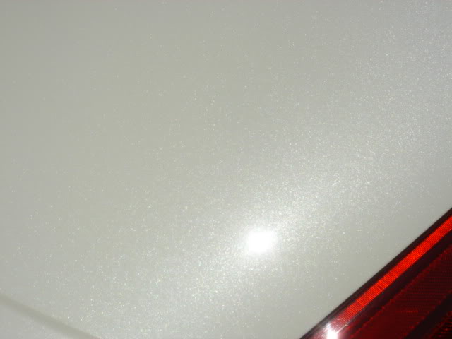 Name:  DSC00819.jpg
Views: 79
Size:  26.4 KB