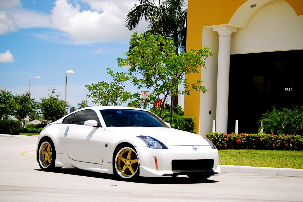 Name:  DSC_0290.jpg
Views: 73
Size:  179.2 KB