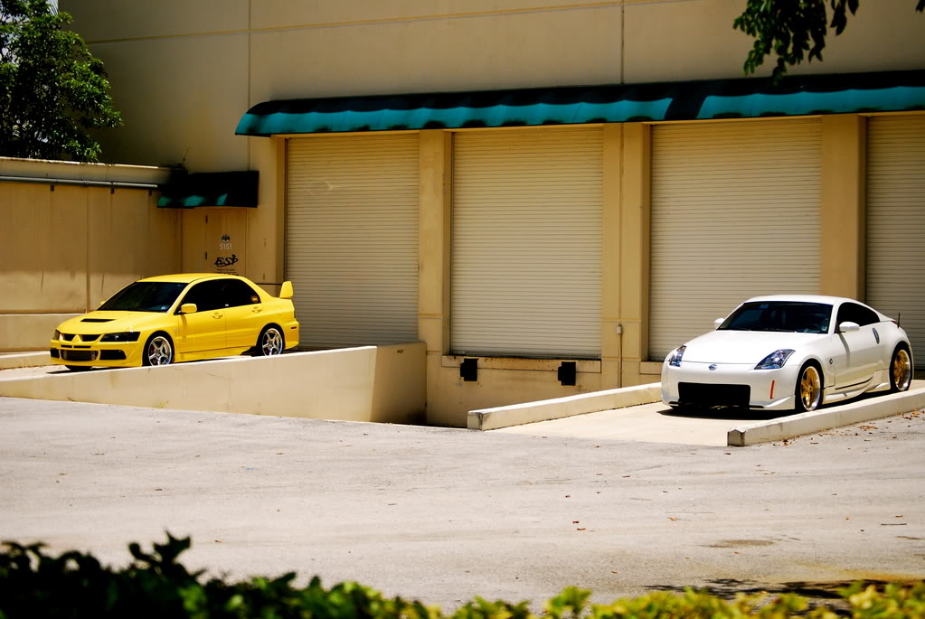 Name:  DSC_0217.jpg
Views: 75
Size:  138.4 KB