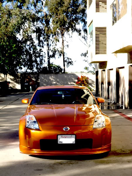 Name:  frontedited-1.jpg
Views: 190
Size:  87.4 KB