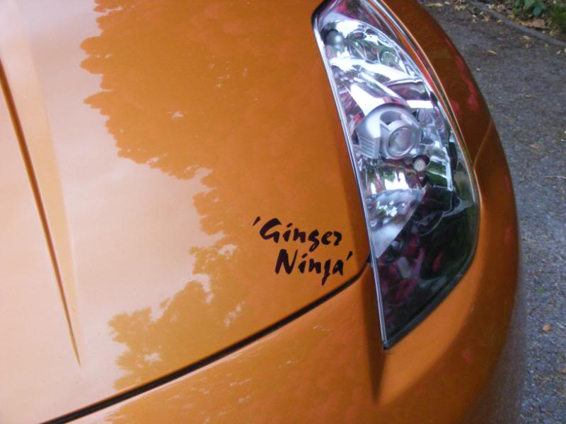 Name:  gingerninja084.jpg
Views: 201
Size:  46.8 KB