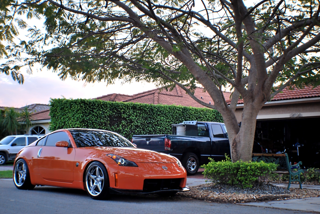 Name:  DSC_0224-1.jpg
Views: 862
Size:  696.6 KB