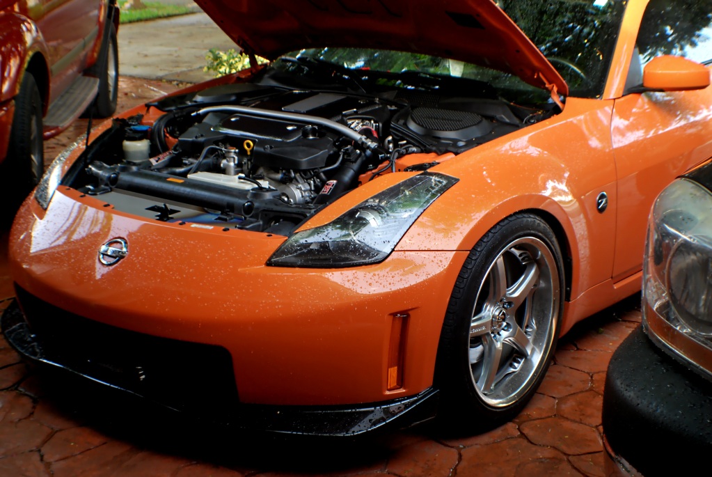 Name:  DSC_0367.jpg
Views: 653
Size:  219.4 KB
