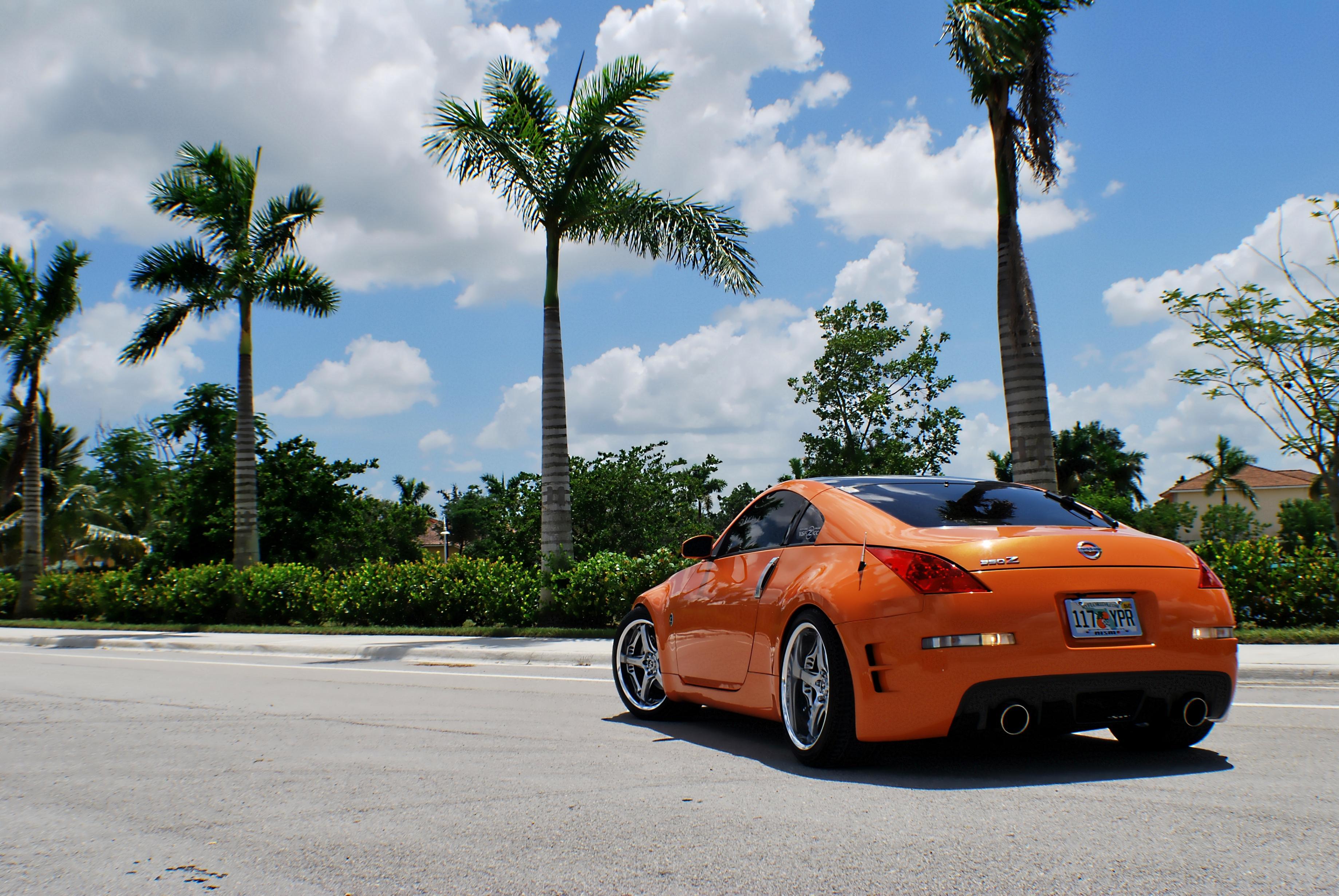 Name:  DSC_0463.jpg
Views: 504
Size:  955.8 KB