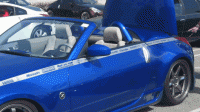 Painted rollbars-rollbar.gif