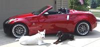 Happy w/your Roadster Yes/No/Maybe?-roadster-and-friends1.jpg