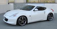 MY Z with Vertini -Fairlady-fairlady1.jpg