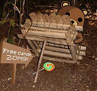 2007 Dash Removal-pedo_bear7.jpg
