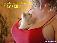 posting pictures-kitten.jpg