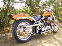 Roadster Australia Release-img_1242-gold.jpg