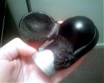 DIY-install shift knob-08-02-06_0313-small-2-.jpg