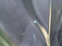 DIY Aero Catch hood pins with pics-picture-016.jpg