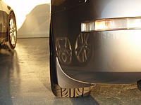 Camber-p2240468.jpg