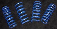 sprint springs-sprint350.jpg