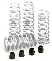 Spring Compressor?? and installing springs....-hotchkiss-springs.jpg