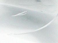 Scratch repair product!!-dsc00112.jpg