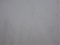 oil from mirror on paint?-100_0077.jpg