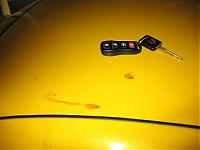 Sheet on my Z (literally!)-001.jpg