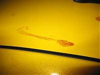 Sheet on my Z (literally!)-002.jpg