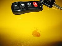Sheet on my Z (literally!)-003.jpg
