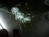really need help cleaning dry bird drops..-pic-0003.jpg