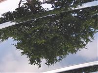 !!BEST!! Wax for Black?-picture-009.jpg