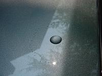 Interesting pics I took today-dsc03396_640.jpg