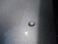 Interesting pics I took today-dsc03397_640.jpg