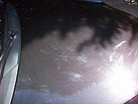 Latest detailing conquest:  08 997 Carrera S-porsche-004.jpg