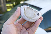 Detailed 2005 350z White-_d2a9000.jpg