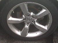 Help! What do you think this is &amp; how can I remove it?-img00498.jpg