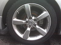 Help! What do you think this is &amp; how can I remove it?-img00499.jpg
