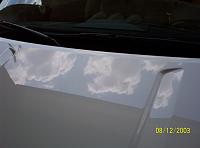 Anyone with PICS of waxed PPW Z?-100_0096web.jpg