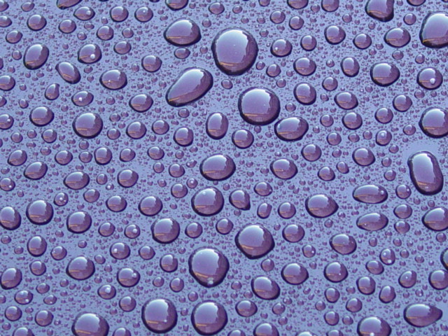 Water Beading? - MY350Z.COM - Nissan 350Z and 370Z Forum Discussion