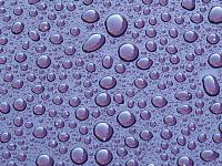Water Beading?-2beads-.jpg