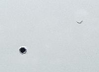 Front bumper holes and scuff mark...-licplate_holes_rt.jpg