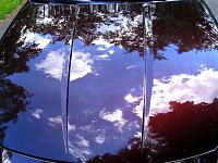 The Platinum Club!!!-img_0938-small-.jpg