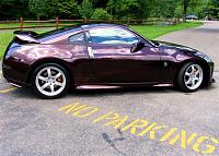 The Platinum Club!!!-img_0948-small-.jpg