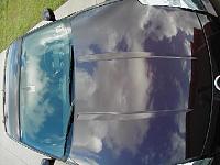 One sunny afternoon - 6 coats of Zaino!!!-hoodsm.jpg