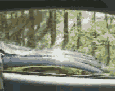 Name:  rowing.gif
Views: 276
Size:  187.9 KB