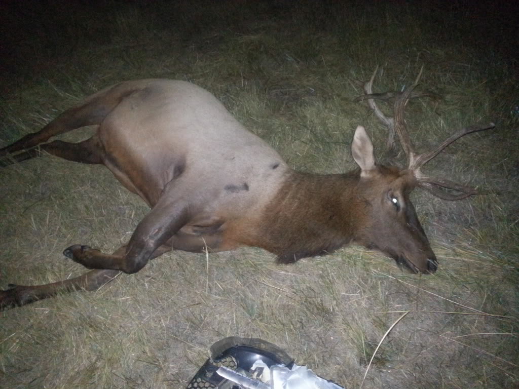 Name:  20130818_043410_zps98a1fa6f.jpg
Views: 142
Size:  131.4 KB