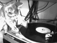 Thinking to sell my Z-new-dj.gif